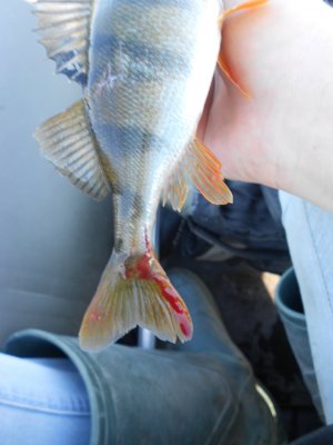 DSCN4190.JPG