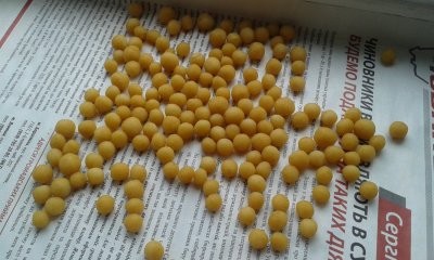 20170720_083030.jpg