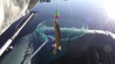 DSCF7576.JPG