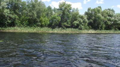 DSCF7615.JPG