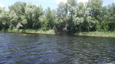 DSCF7617.JPG