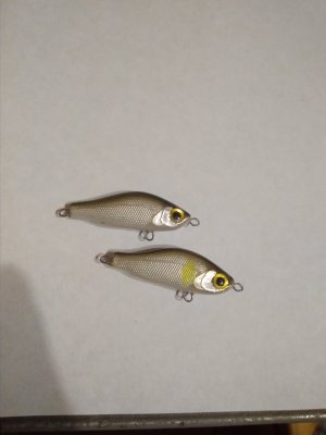 IMG_20170721_202433.jpg