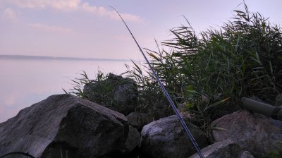 IMG_20170722_081647_HDR.jpg