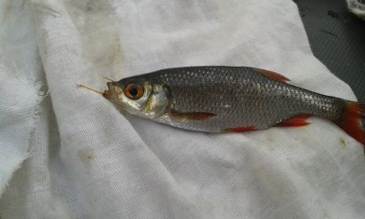 20170722_192315.jpg