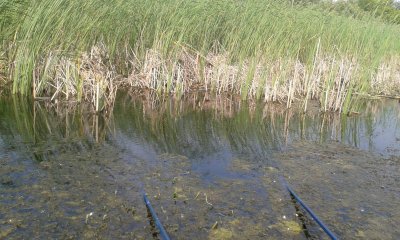 20170722_164738.jpg