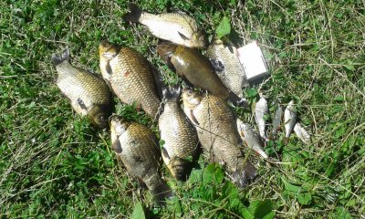 20170723_152957.jpg
