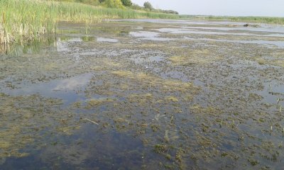 20170722_164748.jpg