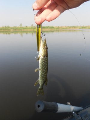 DSCN4233.JPG