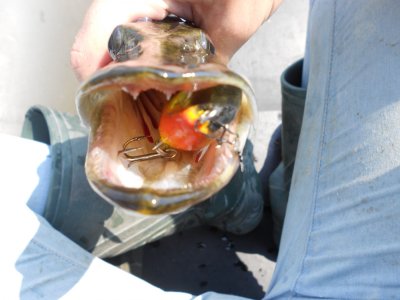 DSCN4249.JPG
