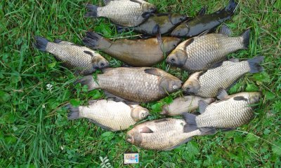 20170806_151039.jpg
