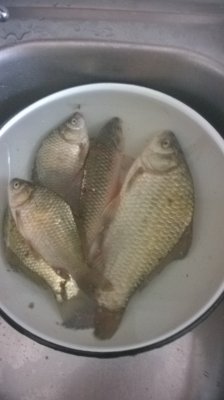 WP_20170802_12_37_19_Pro.jpg
