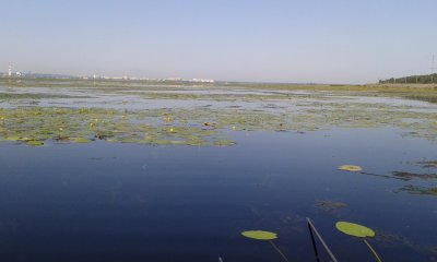 20170812_091356.jpg