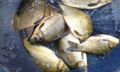20170812_132254.jpg