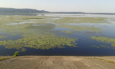20170812_075241.jpg