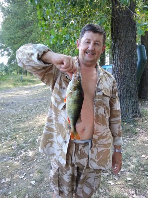 IMG_20170820_135512.jpg