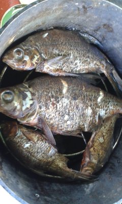 20170820_134113.jpg