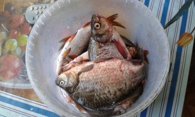 20170820_175447.jpg