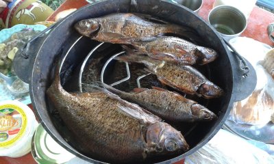 20170820_134119.jpg