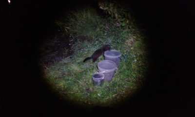 20170828_205852.jpg