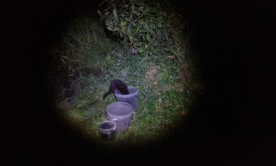 20170828_205900.jpg
