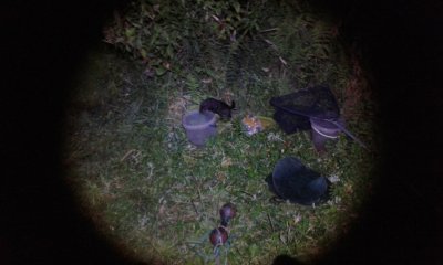 20170828_203745.jpg