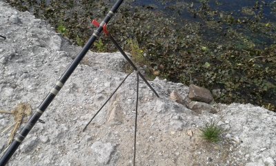 20170901_113951.jpg