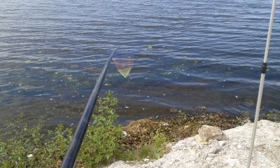 20170901_113919.jpg