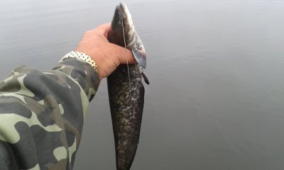 20170830_082527.jpg
