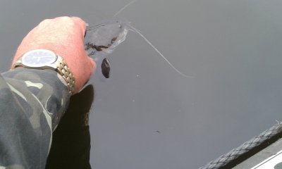 20170830_082538.jpg