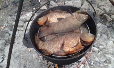 20170830_193106.jpg