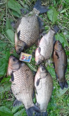 20170830_183252.jpg