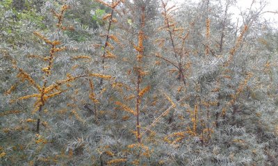 20170901_174256.jpg