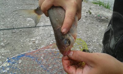 20170901_120900.jpg