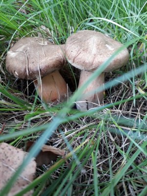 20170902_182623.jpg