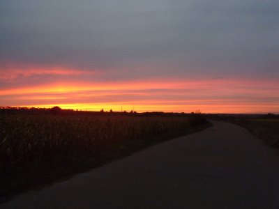 5-09-17-6.jpg