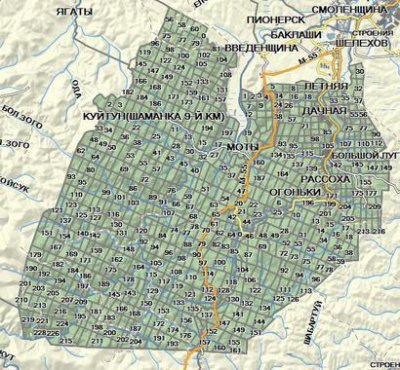 1_kvartalnaya-setka-gps-karta-lesov-irkutskoy-obl.jpg