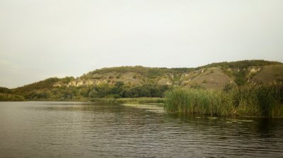 IMG_20170910_110207-01.jpeg