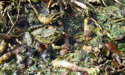 20170909_150148.jpg