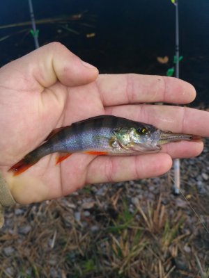 IMG_20170916_063851.jpg