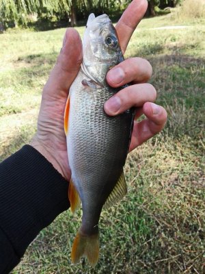 20170917_113056.jpg
