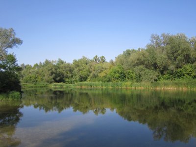 IMG_8196.JPG