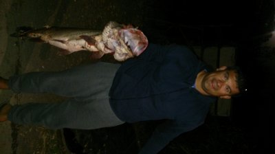 DSC_0236.JPG