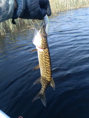 IMG_20171004_103549.jpg