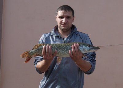 PC070163.JPG