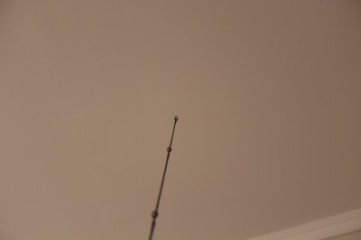 IMG_4351.JPG