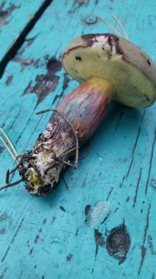 PHOTO_20171014_124549.jpg