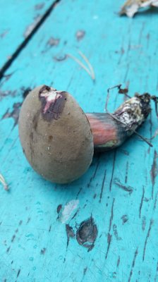 PHOTO_20171014_124538.jpg