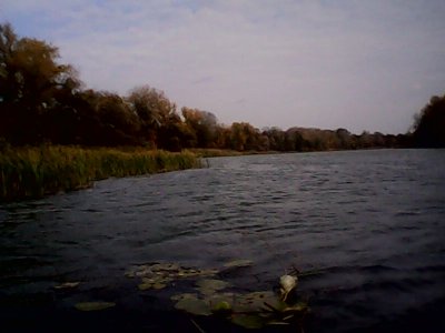 IMG0901A.jpg