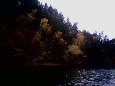 IMG0911A.jpg