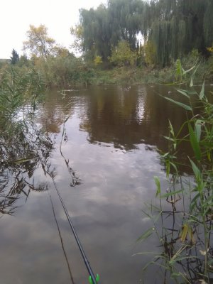 IMG_20171016_170445.jpg